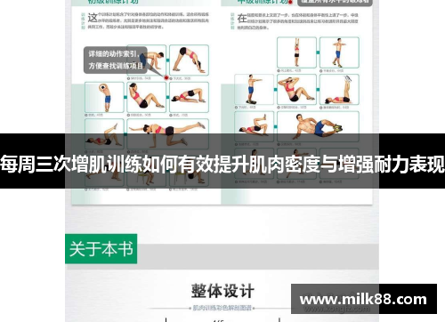 每周三次增肌训练如何有效提升肌肉密度与增强耐力表现